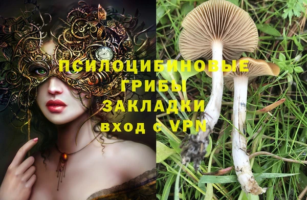 прущая мука Вяземский