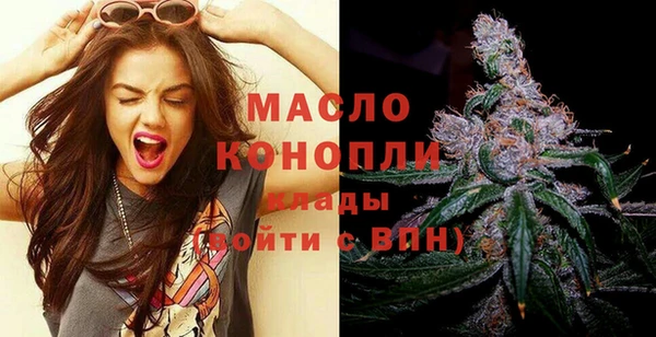 шишки Долгопрудный