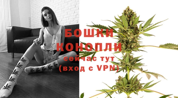 дурь Лиски