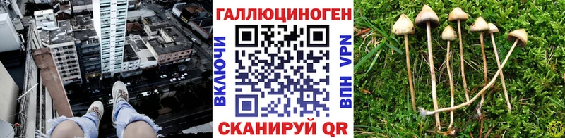 закладки  Давлеканово  Псилоцибиновые грибы мухоморы 